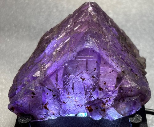 Old stock purple - stock,